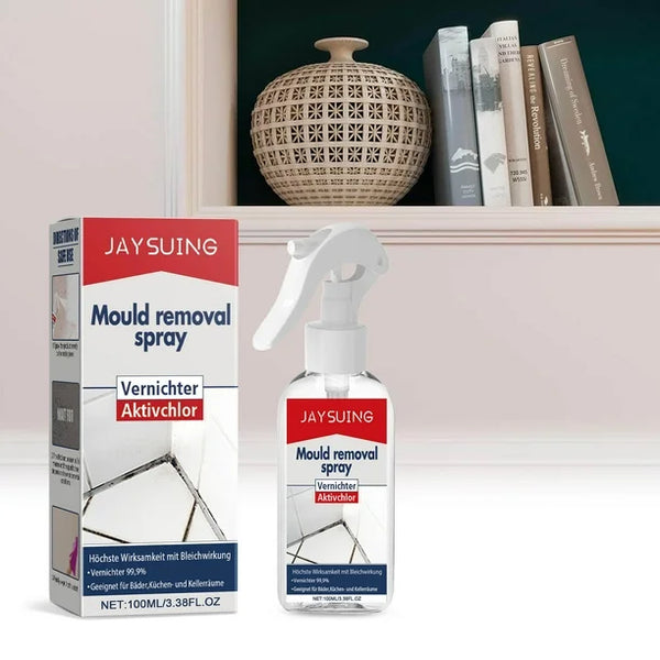 Mould Removal Spray (Original)